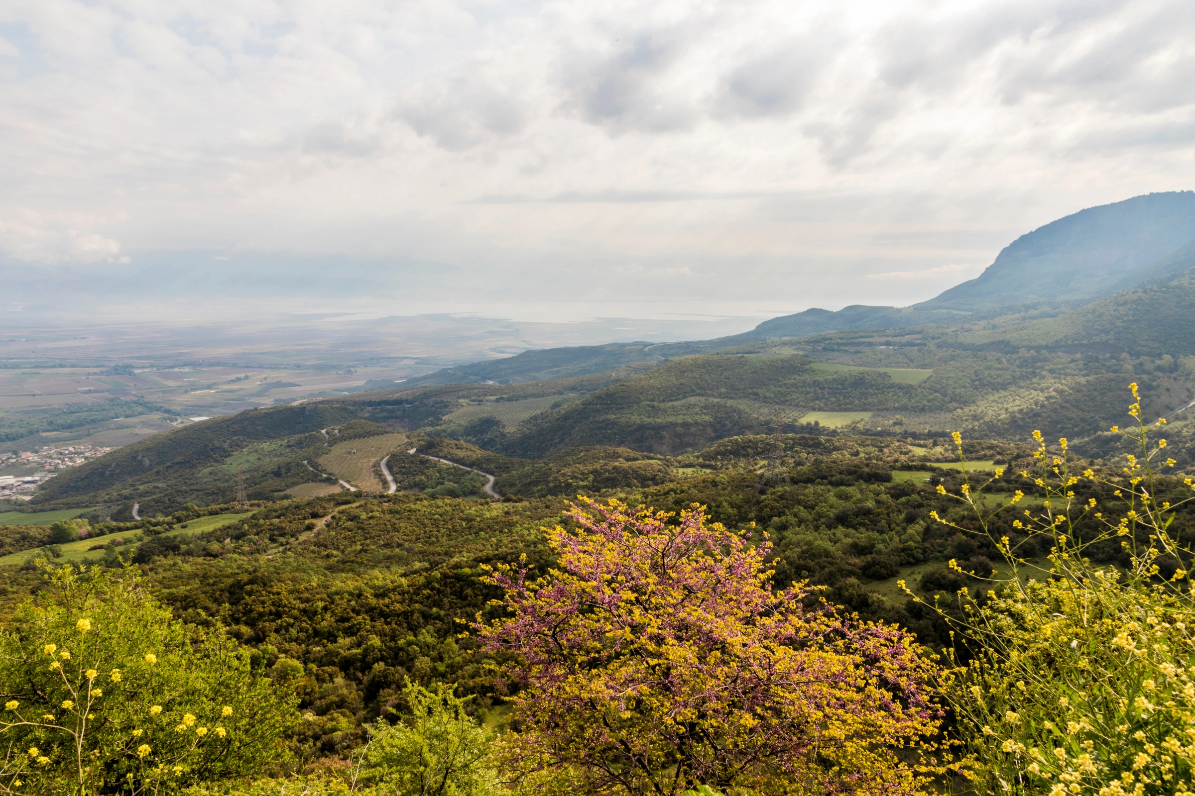 Thermopylae[1].webp